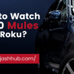 How to Watch 2000 Mules on Roku?