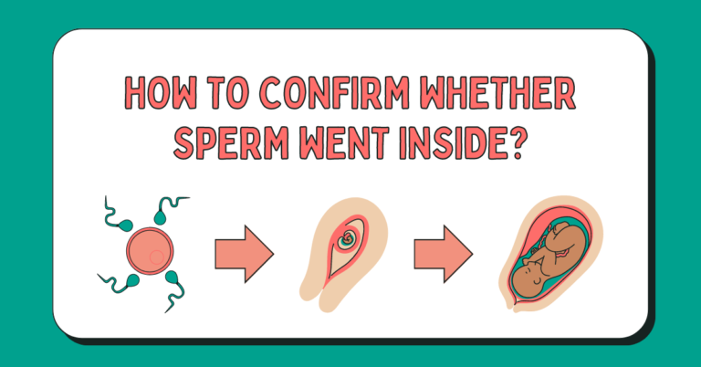 how to confirm whether sperm went inside?